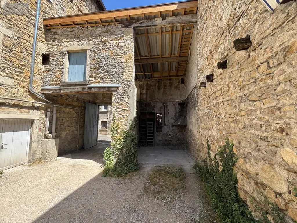 Immeuble de rapport a vendre Lagnieu 01150 Ain 01 291 m2 469000 euros 01037-918 003