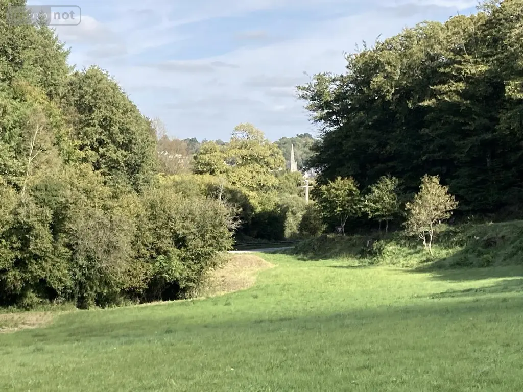 Terrains de loisirs bois etangs a vendre Melrand 56310 Morbihan 56 32400 euros 56064-1447 005