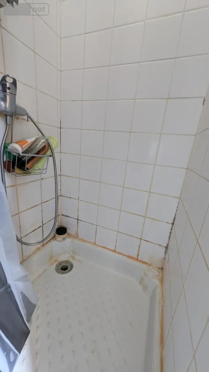 Immeuble de rapport a vendre Vichy 03200 Allier 03 588 m2 398240 euros 03019-167 034