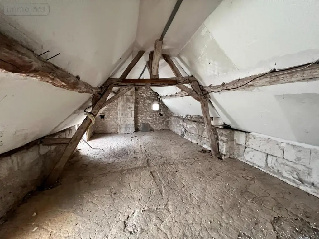 Maison a vendre Seigy 41110 Loir-et-Cher 41 94 m2 4 pièces 65000 euros 41033-1622 013