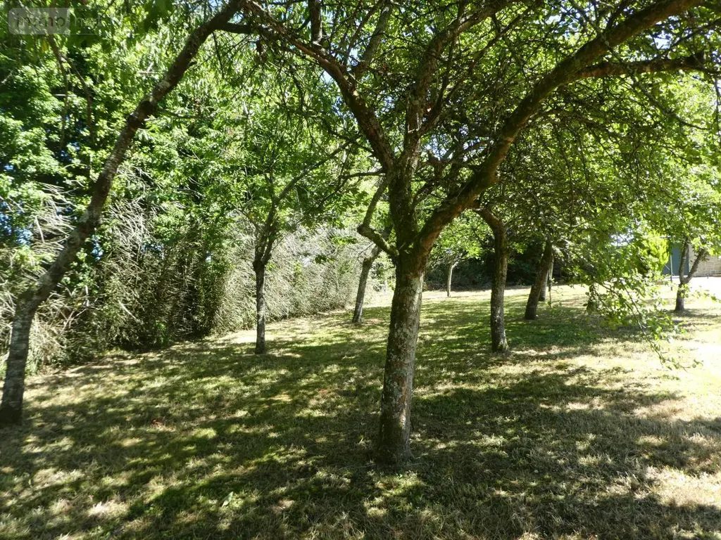 Maison a vendre Plouigneau 29610 Finistère 29 207 m2 6 pièces 377450 euros 29096-741 026