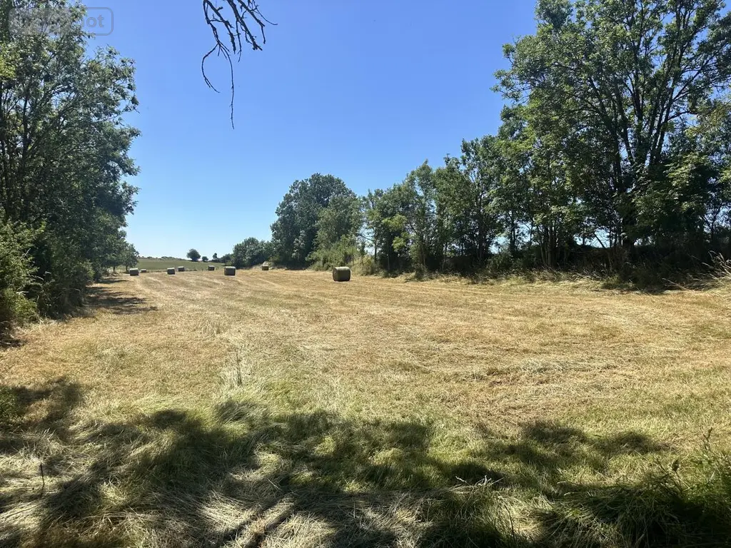 Maison a vendre Neuvéglise-sur-Truyère 15260 Cantal 15 200 m2 245000 euros 15046-47 015