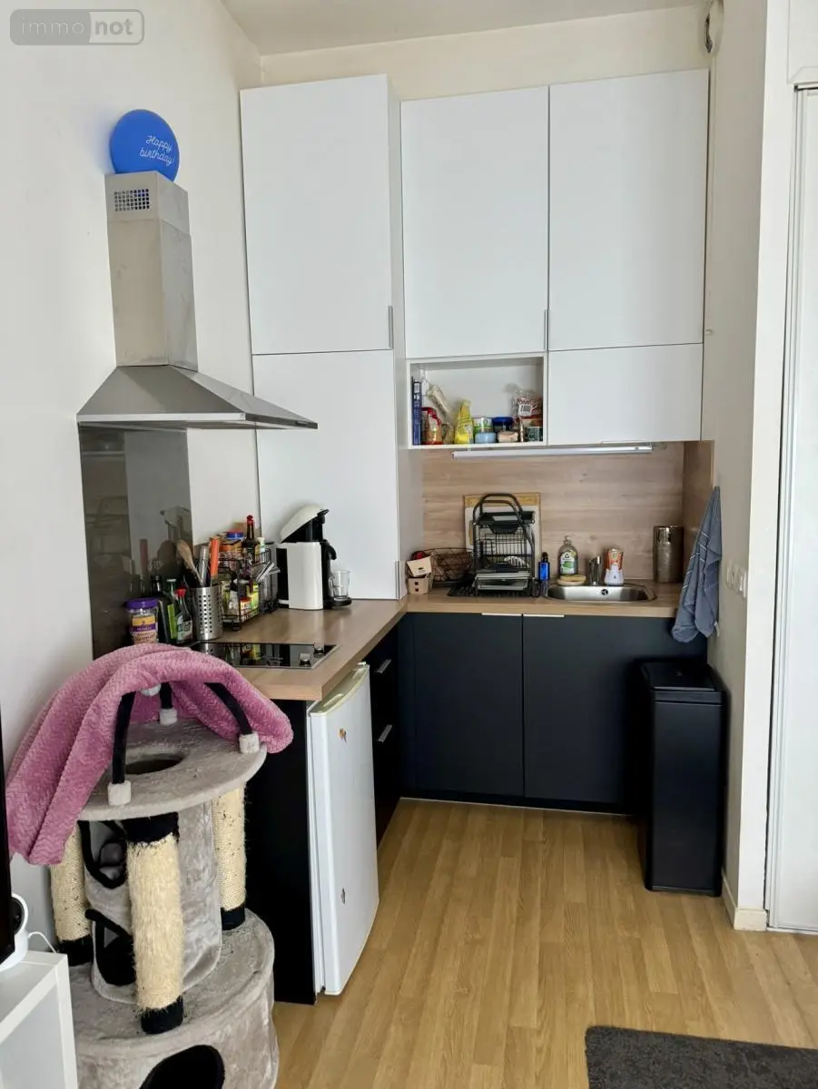 Appartement a vendre Lille 59000 Nord 59 33 m2 2 pièces 137000 euros 62041-1627 003