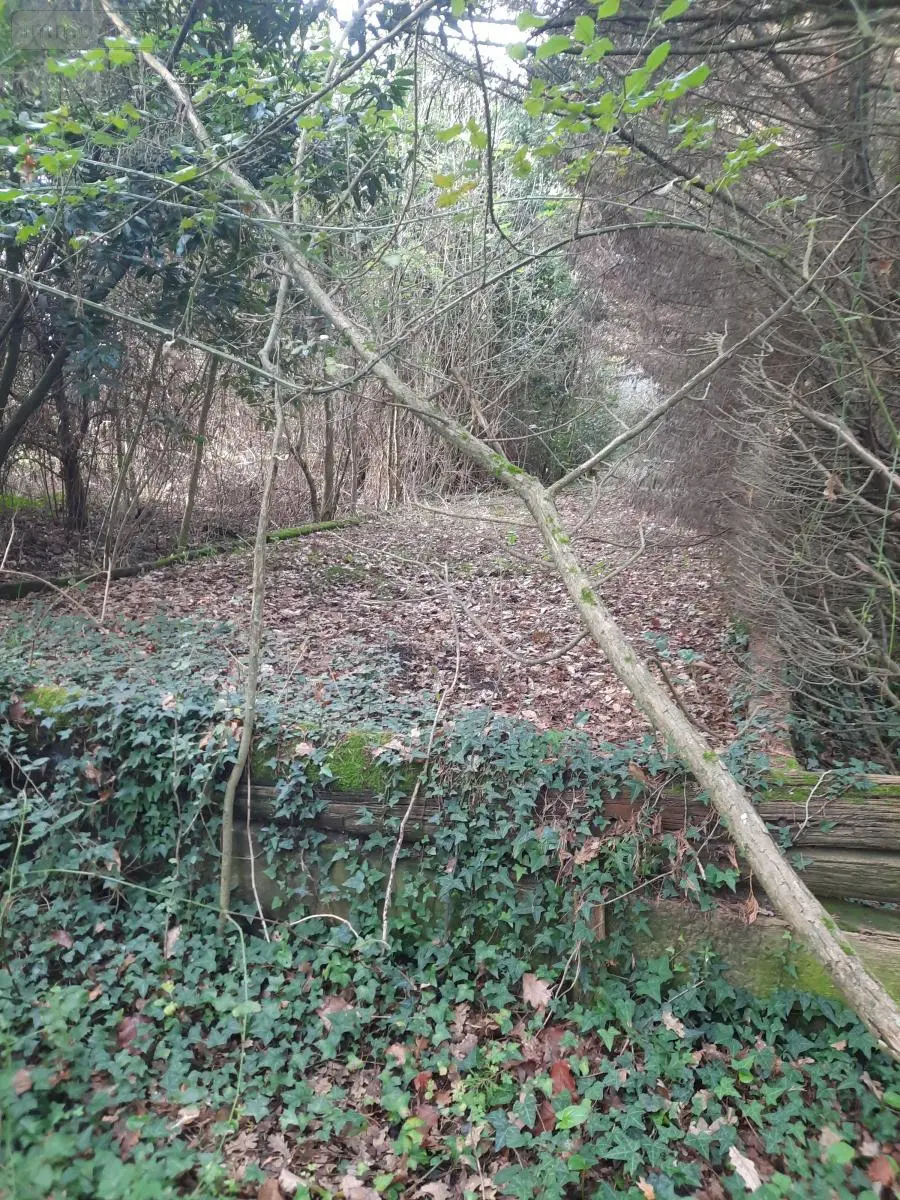Terrains de loisirs bois etangs a vendre Aizenay 85190 Vendée 85 41280 euros 85091-5199 007