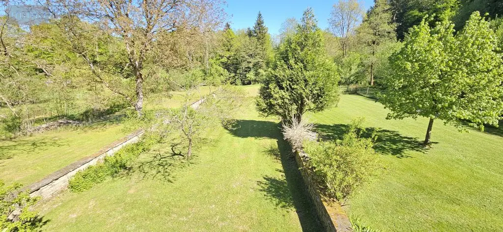 Maison a vendre Ménil-sur-Belvitte 88700 Vosges 88 300 m2 9 pièces 489000 euros 88061-851 014