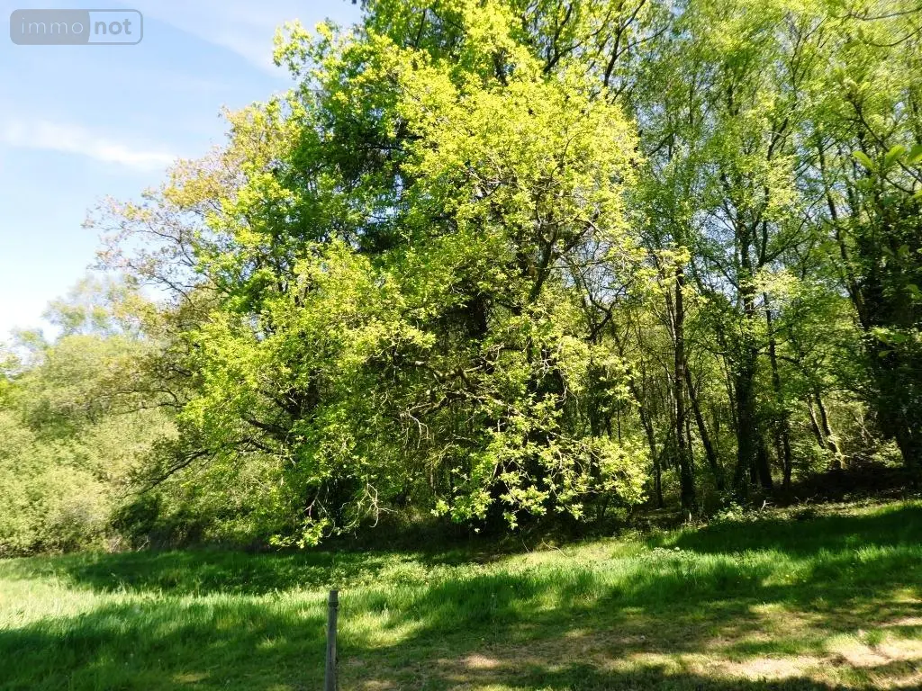 Maison a vendre Ploërdut 56160 Morbihan 56 352 m2 12 pièces 492400 euros 56075-2483 031