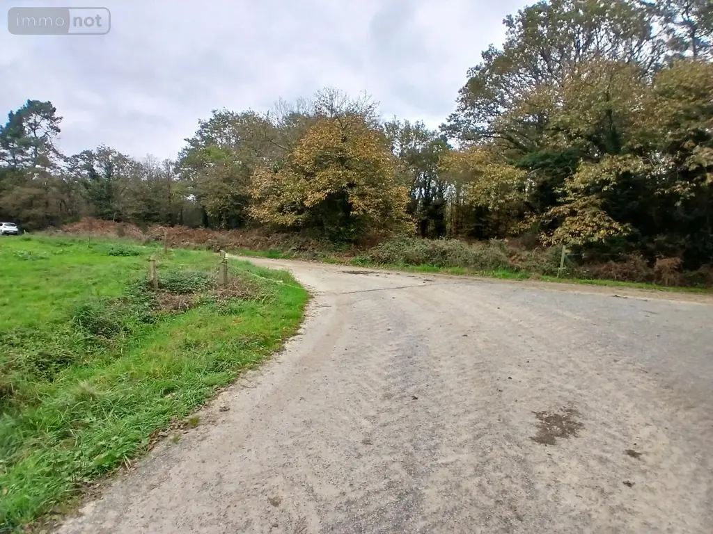 Terrains de loisirs bois etangs a vendre Allaire 56350 Morbihan 56 7500 euros 56084-354 008