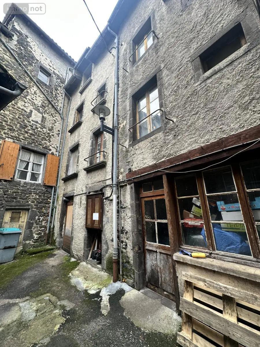 Immeuble de rapport a vendre Saint-Flour 15100 Cantal 15 134 m2 84800 euros 15046-12 009