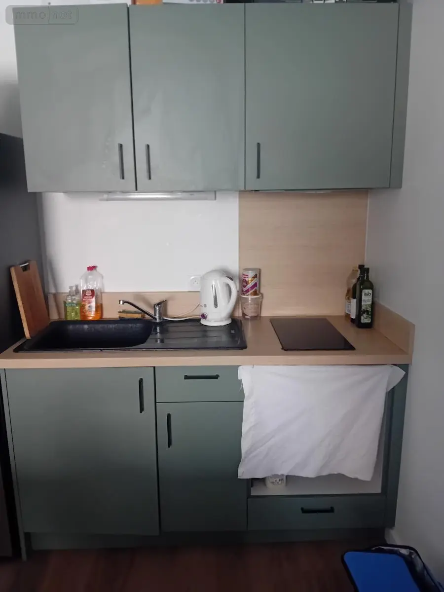 Location appartement Lagnieu 01150 Ain 01 42 m2 2 pièces 660 euros 01037-L95 007