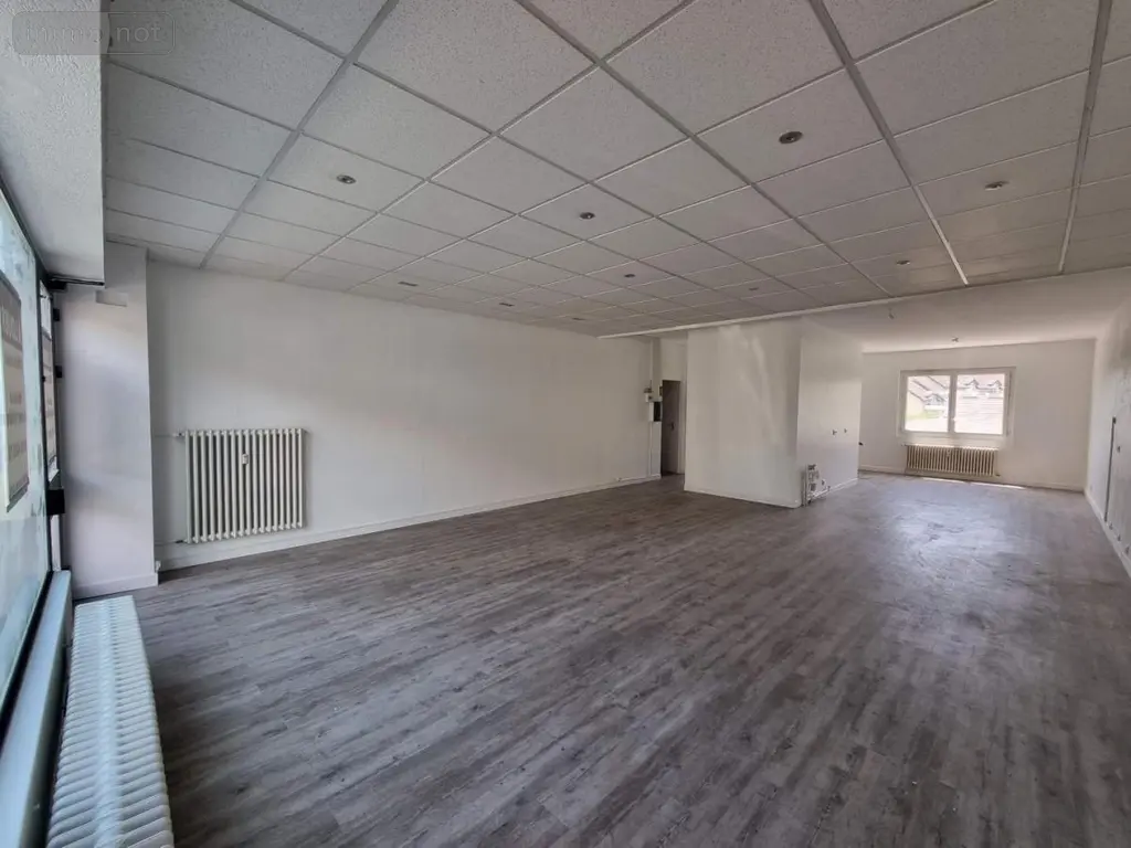 Location fonds et murs commerciaux Saint-Genis-Pouilly 01630 Ain 01 100 m2 2250 euros 01047-L22 007