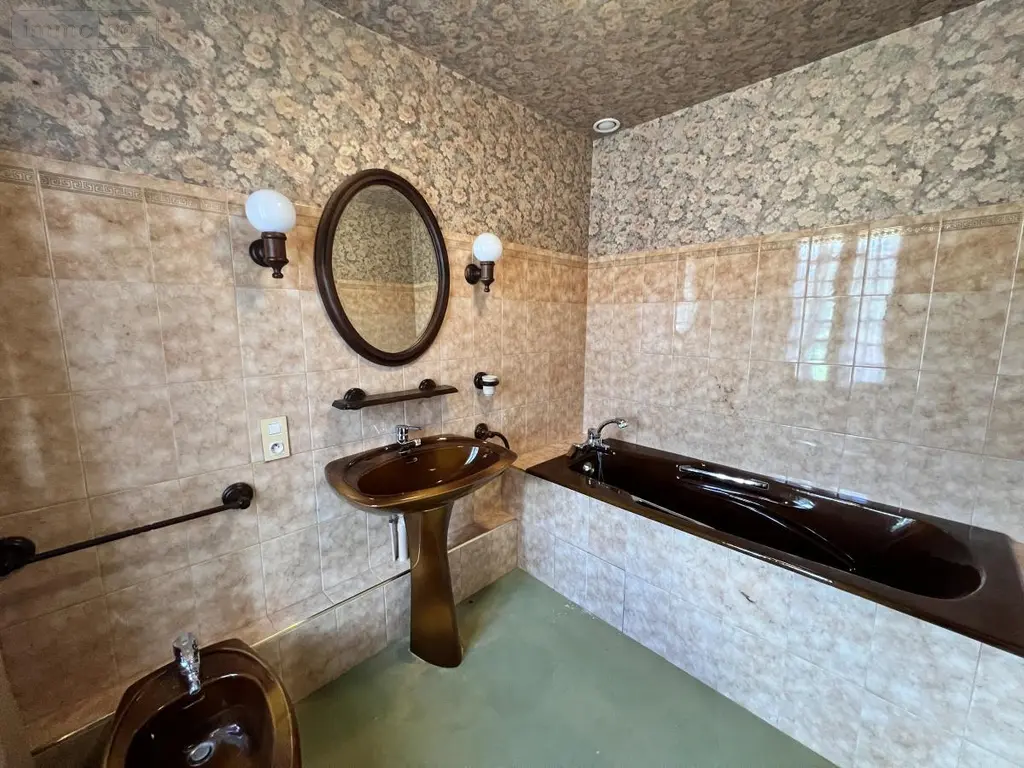 Maison a vendre Meusnes 41130 Loir-et-Cher 41 220 m2 6 pièces 159000 euros 41033-1837 015
