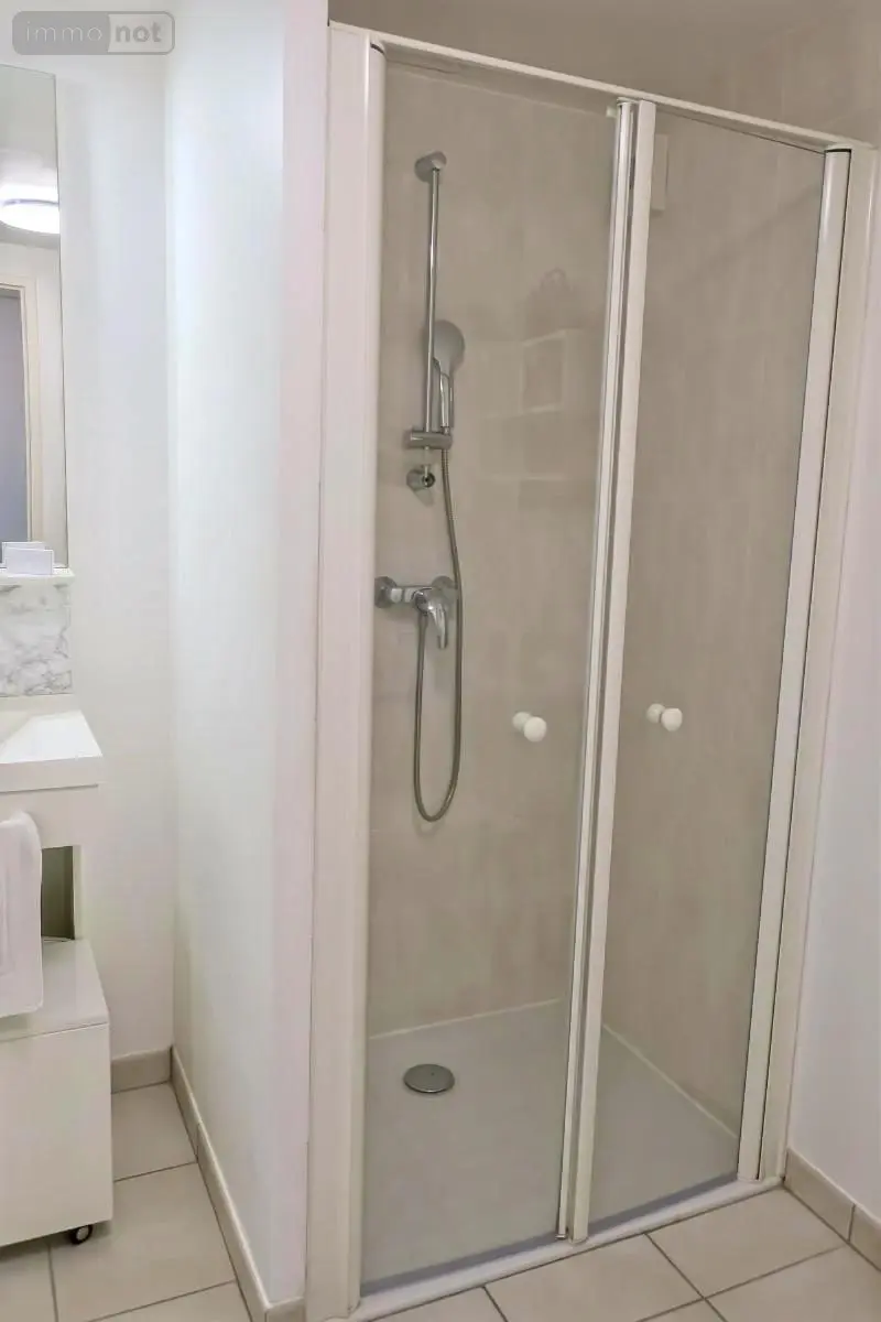 Appartement a vendre Saint-Doulchard 18230 Cher 18 45 m2 2 pièces 111000 euros 18005-1688 006