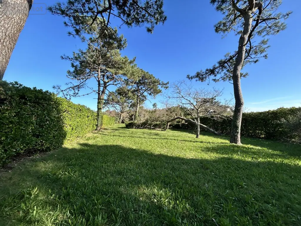 Terrain a batir a vendre Bangor 56360 Morbihan 56 186300 euros 56026-1121 001