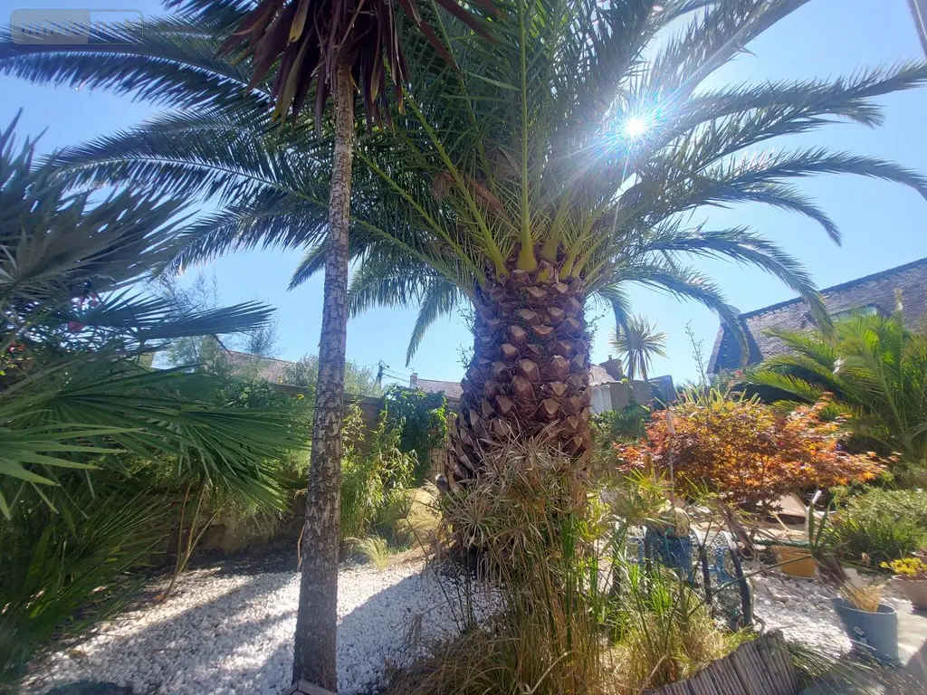 Maison a vendre Belz 56550 Morbihan 56 237 m2 15 pièces 754612 euros 56040-638 006
