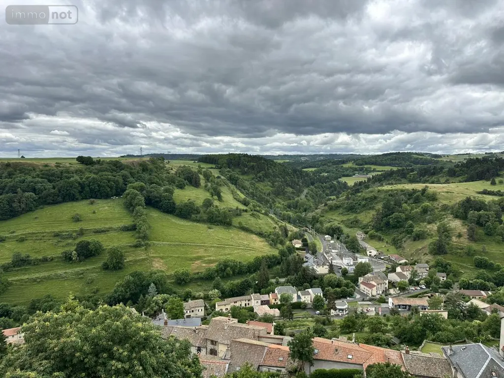 Appartement a vendre Saint-Flour 15100 Cantal 15 98 m2 116600 euros 15046-82 009