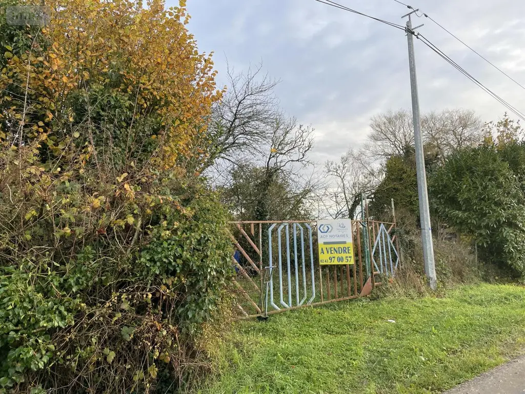 Terrains de loisirs bois etangs a vendre Marolles-les-Braults 72260 Sarthe 72 17640 euros 72126-2957 003