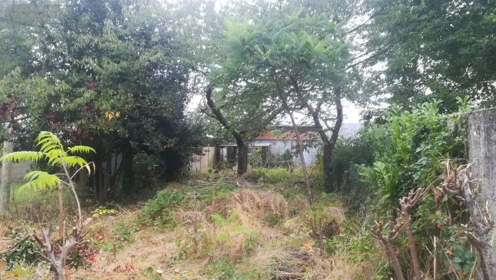 Terrain a batir a vendre Le Mans 72000 Sarthe 72 78622 euros 72010-1940 002