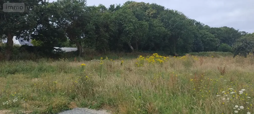Terrain a batir a vendre Trébabu 29217 Finistère 29 131813 euros 29059-748 002