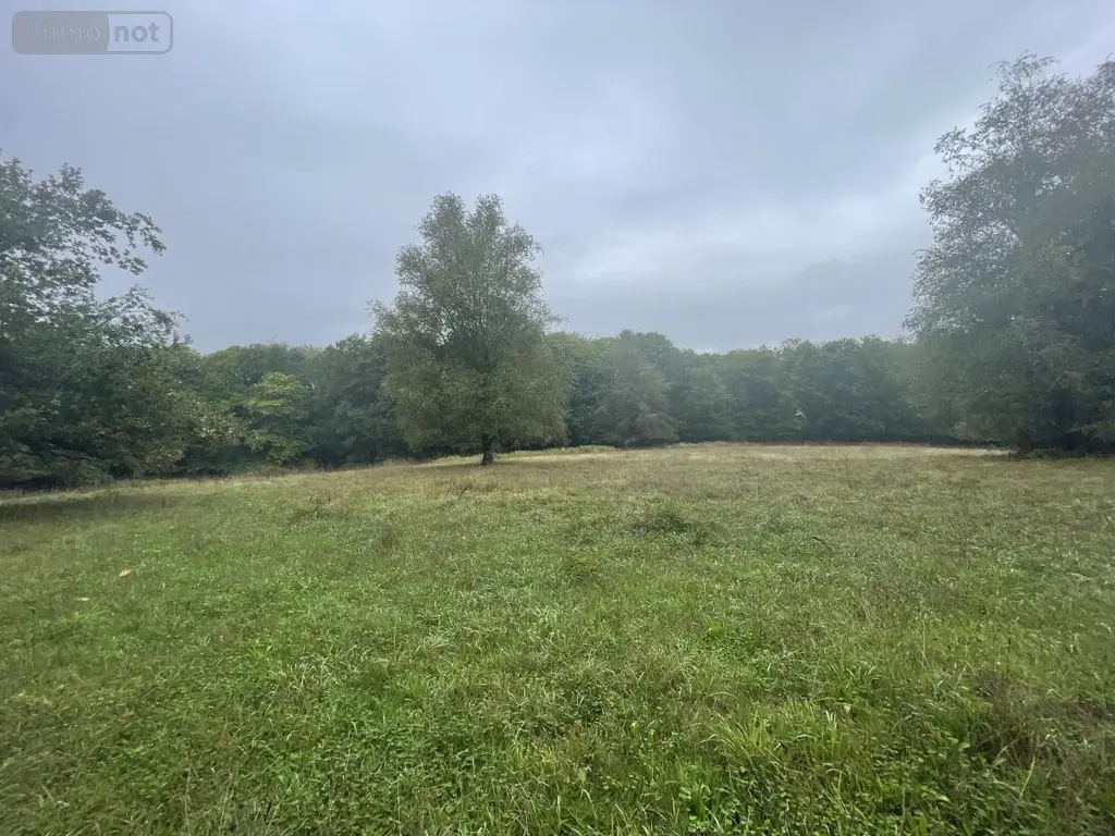 Terrains de loisirs bois etangs a vendre Le Faouët 56320 Morbihan 56 20600 euros 56081-2679 001
