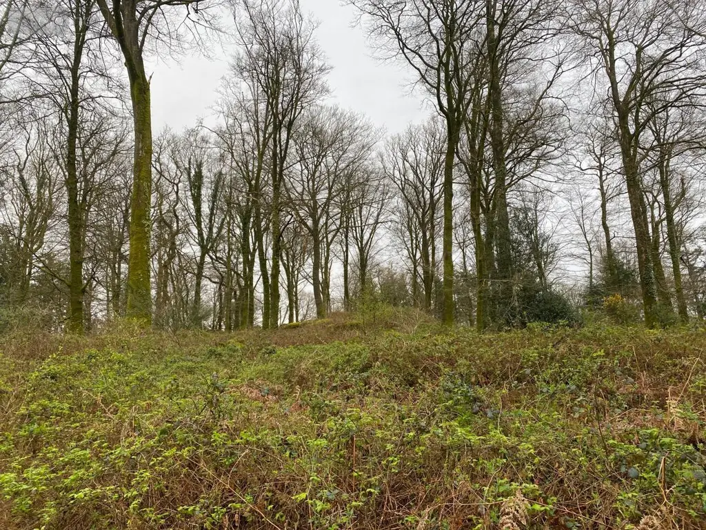 Terrains de loisirs bois etangs a vendre Champ-du-Boult 14380 Calvados 14 56710 euros 14076-5853 007