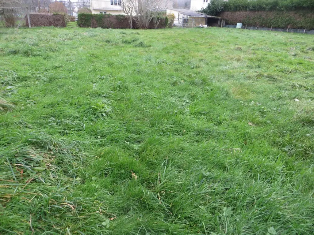 Terrain a batir a vendre Vire Normandie 14500 Calvados 14 33000 euros 14076-5533 002