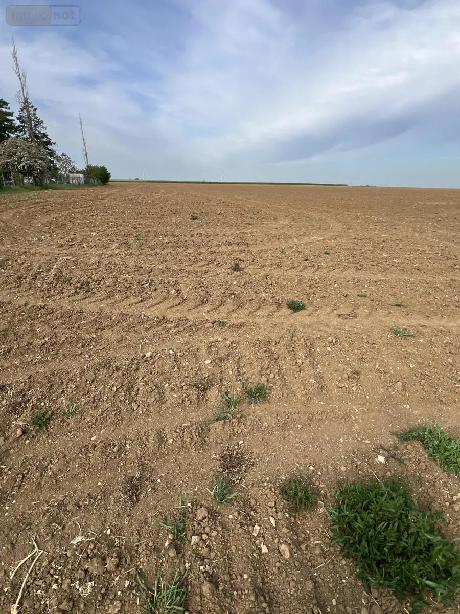 Terrain a batir a vendre Binas 41240 Loir-et-Cher 41 28000 euros 41029-53 002