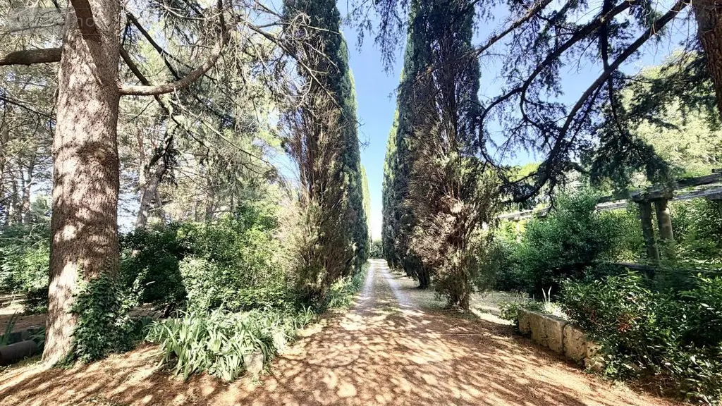 Maison a vendre Entre-Vignes 34400 Hérault 34 416 m2 8 pièces 999000 euros 34012-788 004