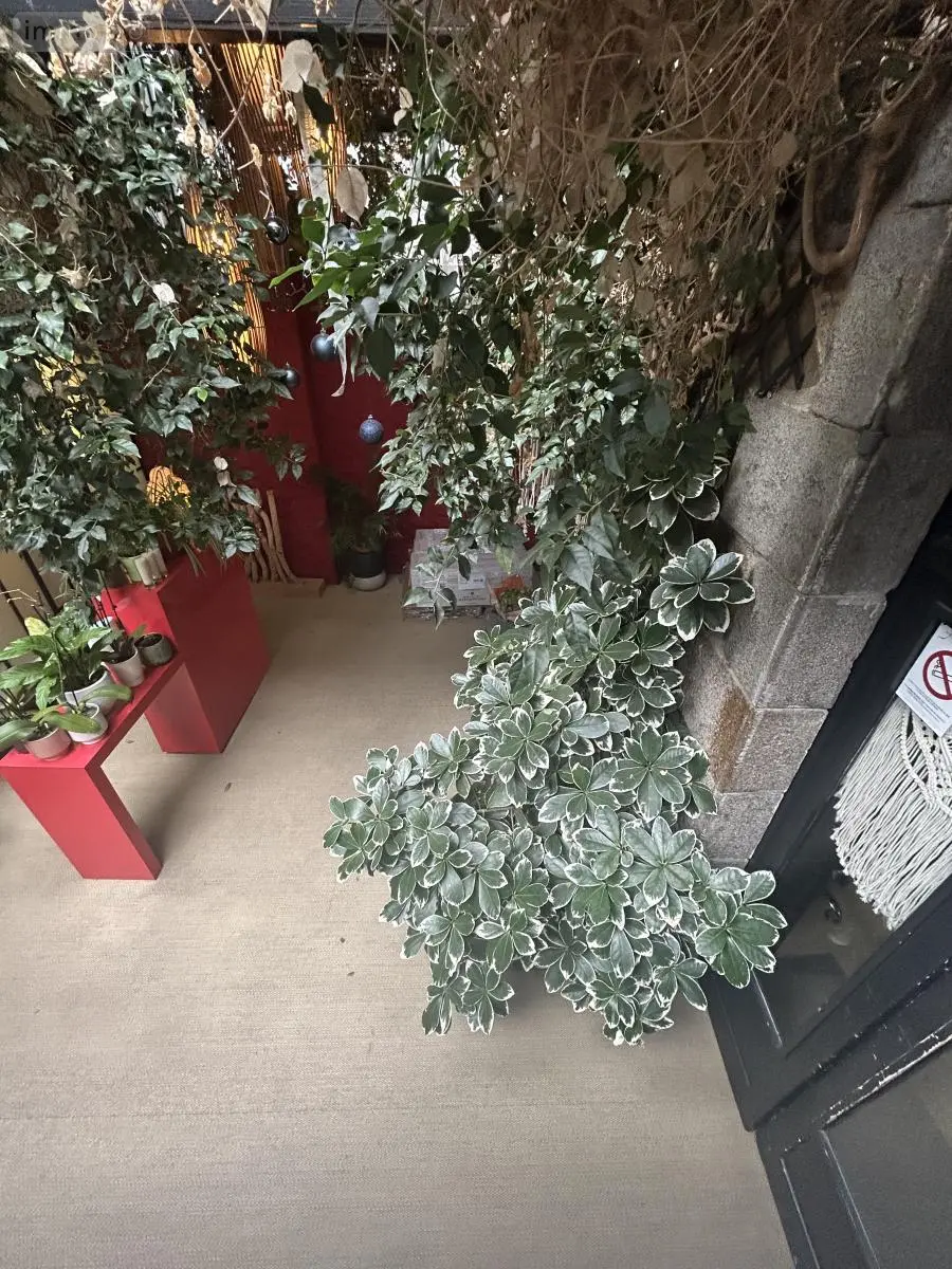 Maison a vendre Saint-Brieuc 22000 Côtes-d'Armor 22 310 m2 561800 euros 22007-776 007