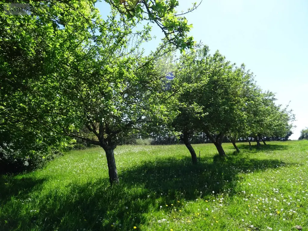 Maison a vendre Maisoncelles-du-Maine 53170 Mayenne 53 232 m2 9 pièces 385000 euros 53079-1415 005