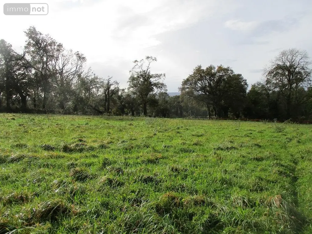 Divers a vendre Carhaix-Plouguer 29270 Finistère 29 9840 m2 95400 euros 29064-2753 003