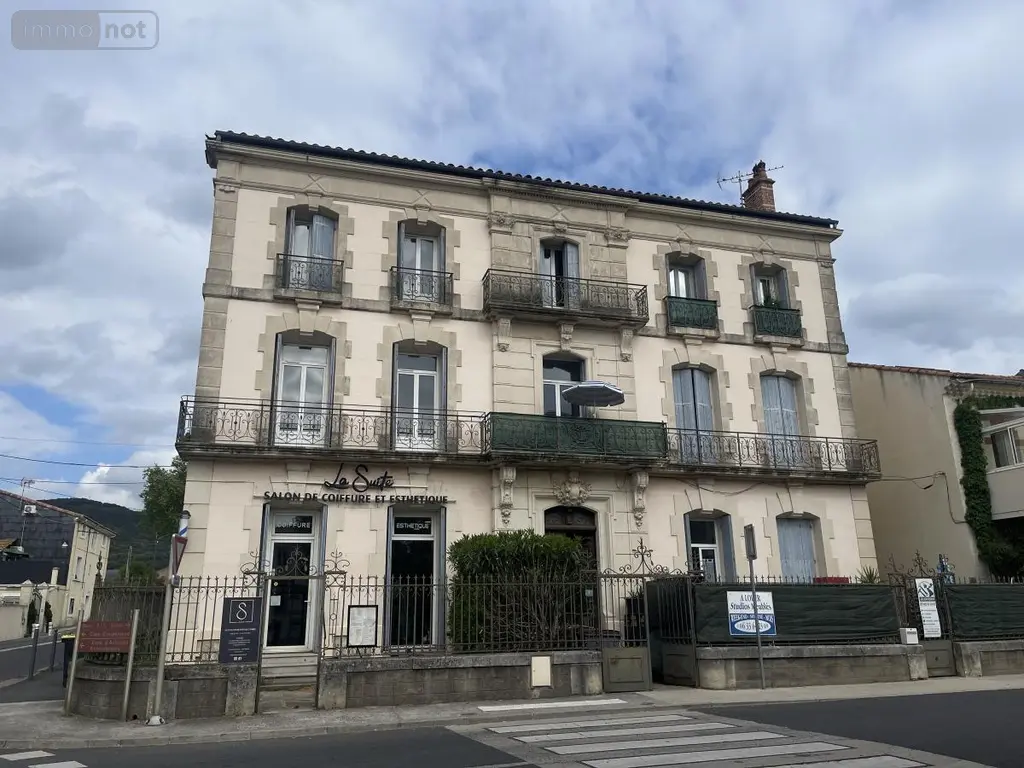 Immeuble de rapport a vendre Hérépian 34600 Hérault 34 475 m2 500000 euros 34074-255 001