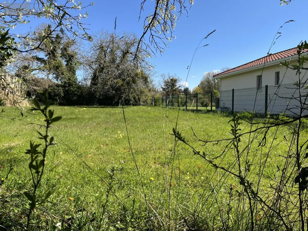 Terrain a batir a vendre Châtillon-la-Palud 01320 Ain 01 99000 euros 01067-1009 003