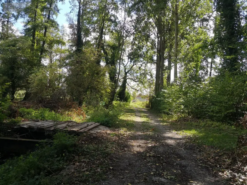 Terrains de loisirs bois etangs a vendre Thun-Saint-Martin 59141 Nord 59 19000 euros 59084-2039 003