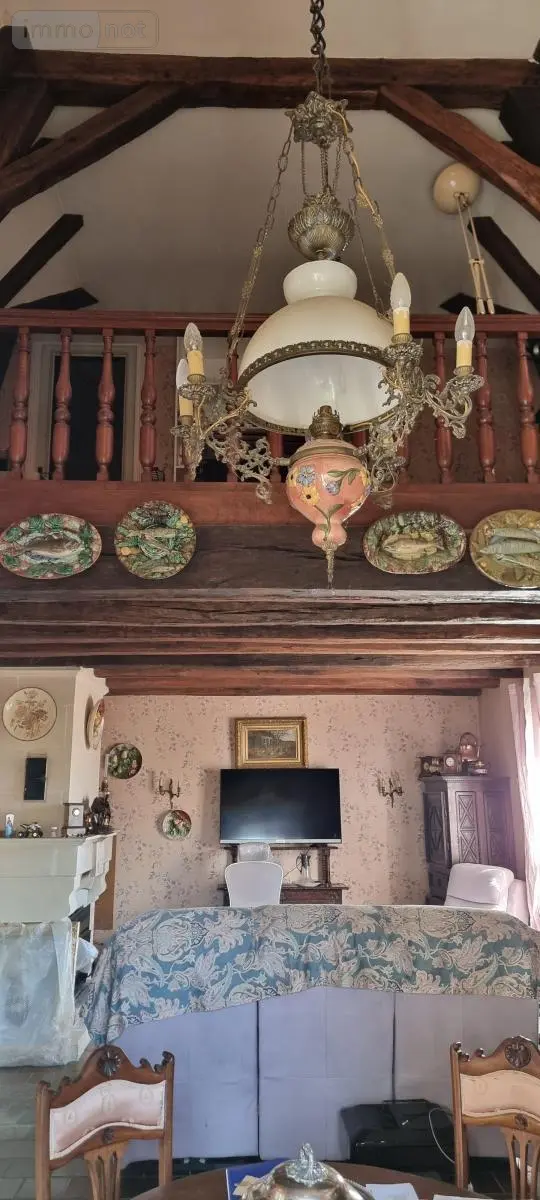 Viager maison Rochecorbon 37210 Indre-et-Loire 37 144 m2 5 pièces 158000 euros 37007-2787 008