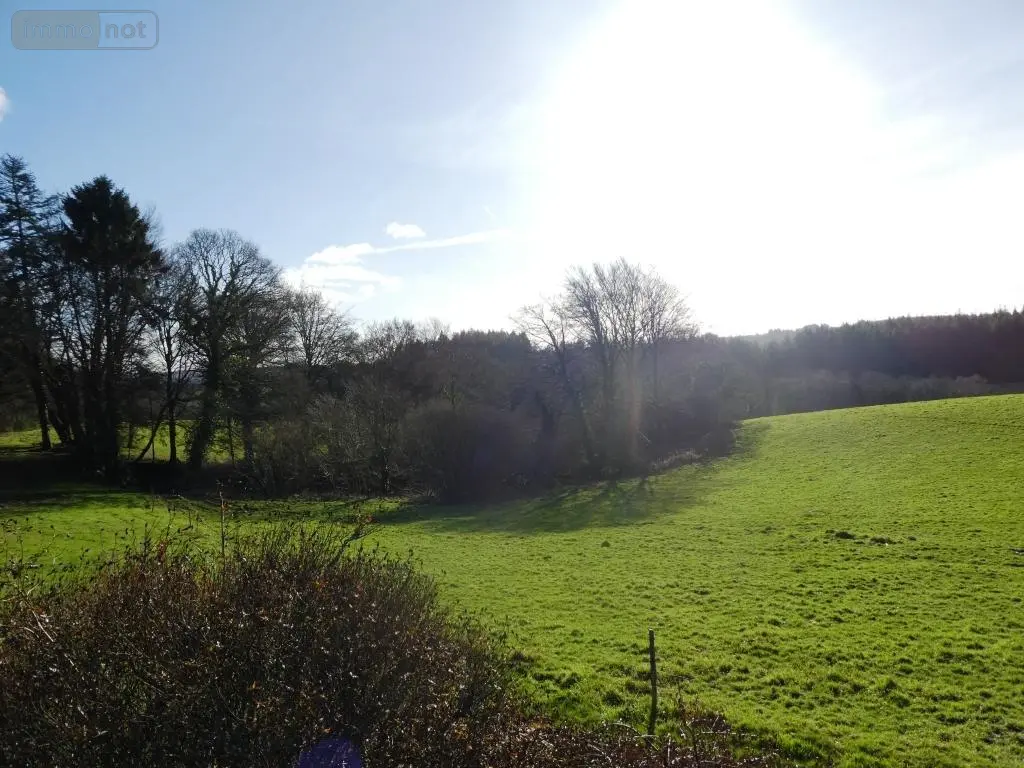 Maison a vendre Langoëlan 56160 Morbihan 56 280 m2 10 pièces 367000 euros 56075-2346 007