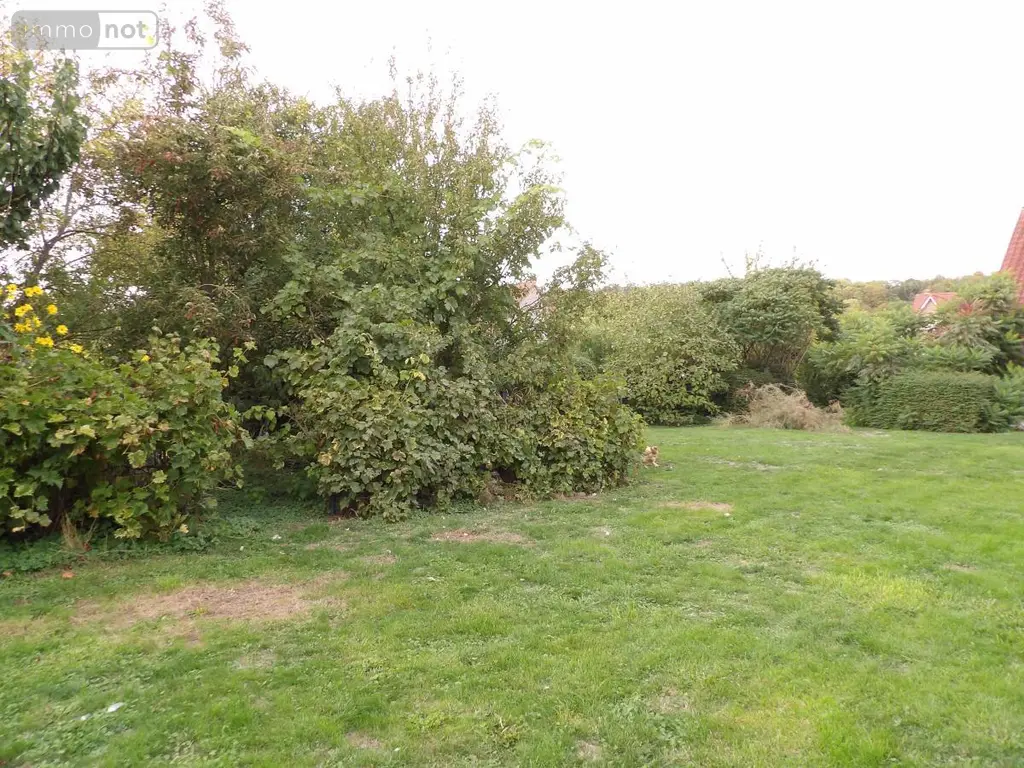 Maison a vendre Rebreuve-Ranchicourt 62150 Pas-de-Calais 62 150 m2 353000 euros 62023-3984 016
