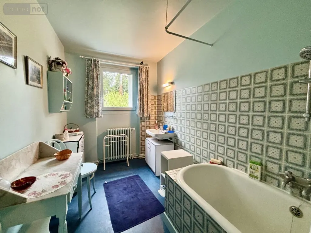 Maison a vendre Montmorillon 86500 Vienne 86 207 m2 8 pièces 157000 euros 86001-40 012