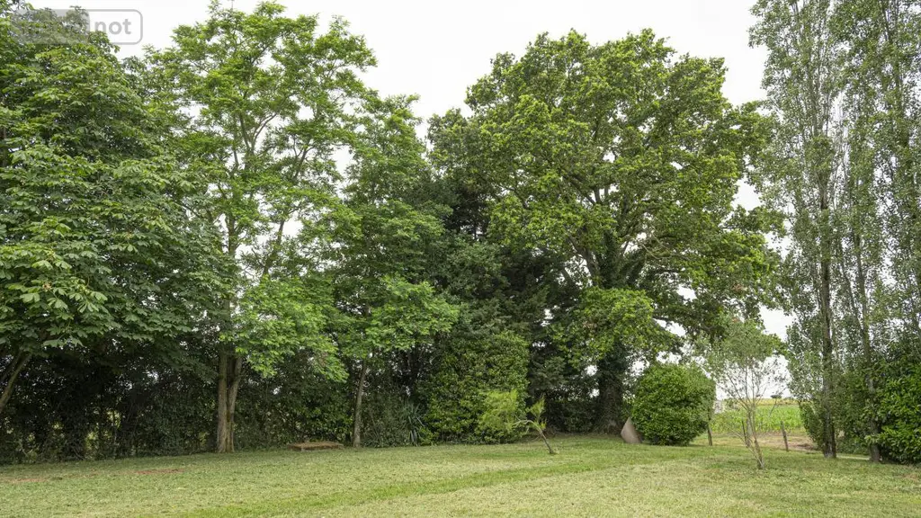 Maison a vendre Dangeul 72260 Sarthe 72 171 m2 5 pièces 209000 euros 72126-3201 028