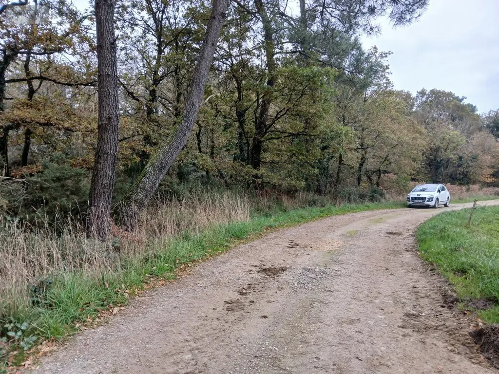 Terrains de loisirs bois etangs a vendre Allaire 56350 Morbihan 56 7500 euros 56084-354 004