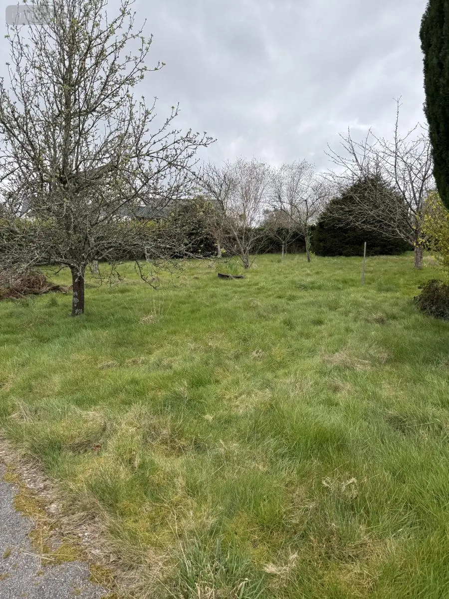 Maison a vendre Elven 56250 Morbihan 56 143 m2 6 pièces 416900 euros 56002-1520 003