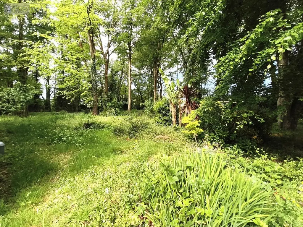 Maison a vendre Missillac 44780 Loire-Atlantique 44 129 m2 7 pièces 287375 euros 56014-793 017