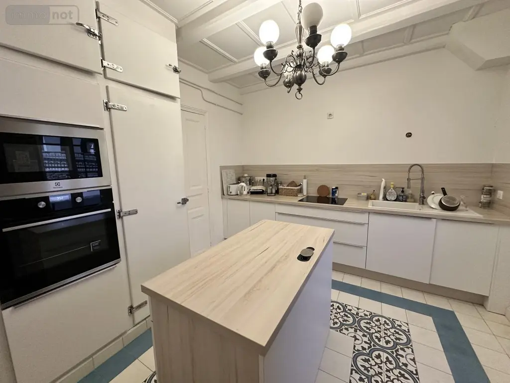 Maison a vendre Ruynes-en-Margeride 15320 Cantal 15 229 m2 340000 euros 15046-45 006