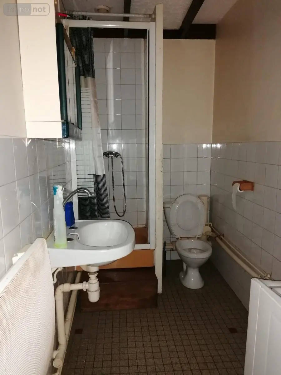 Immeuble de rapport a vendre Descartes 37160 Indre-et-Loire 37 183 m2 84000 euros 37082-252 007
