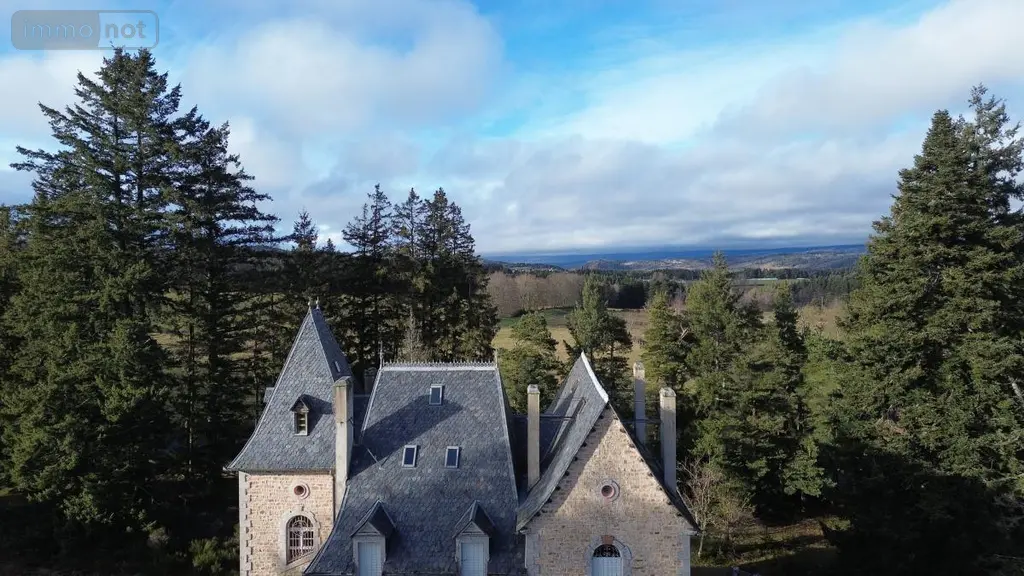 Maison a vendre Albaret-Sainte-Marie 48200 Lozère 48 550 m2 20 pièces 625000 euros 48032-214 039