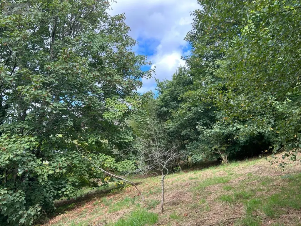 Terrain a batir a vendre Huelgoat 29690 Finistère 29 42500 euros 29064-2789 004