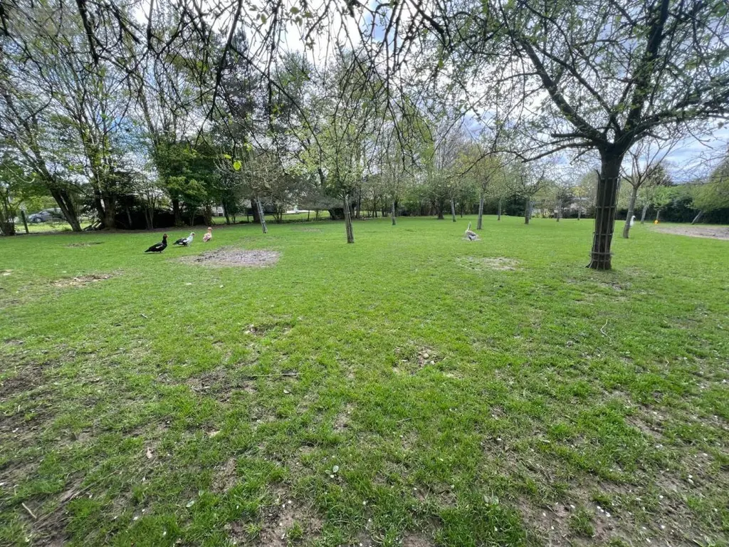 Terrain a batir a vendre Le Bocasse 76690 Seine-Maritime 76 89900 euros 76004-528 005