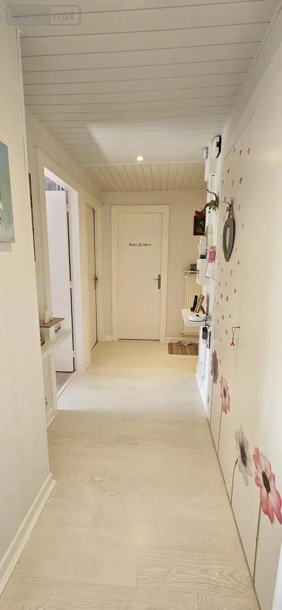 Viager appartement Épinal 88000 Vosges 88 42 m2 17000 euros 88061-805 005