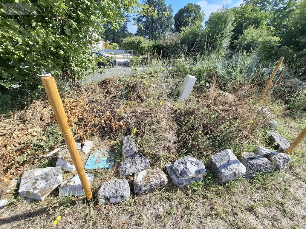 Terrain a batir a vendre Les Gonds 17100 Charente-Maritime 17 146888 euros 17111-756 009