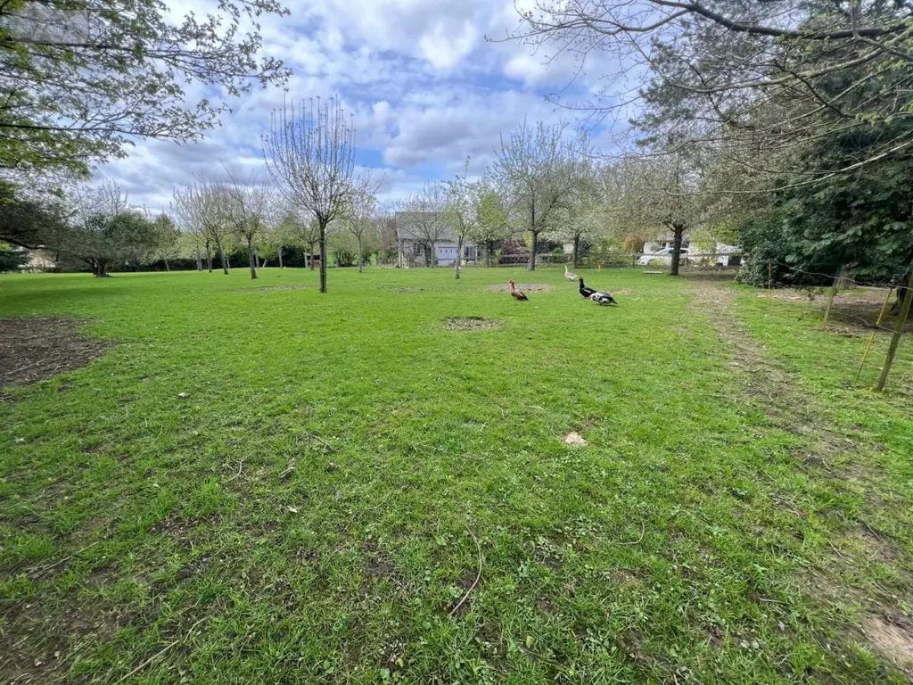 Terrain a batir a vendre Le Bocasse 76690 Seine-Maritime 76 89900 euros 76004-528 004