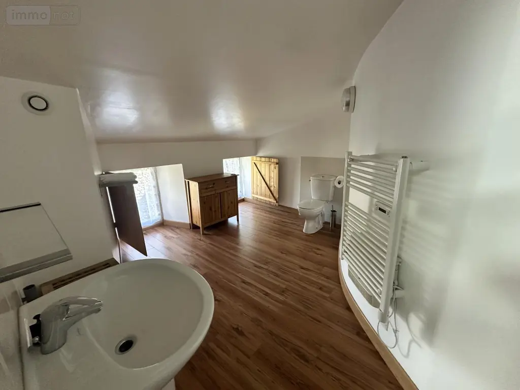 Immeuble de rapport a vendre Saint-Flour 15100 Cantal 15 300 m2 189700 euros 15046-52 005